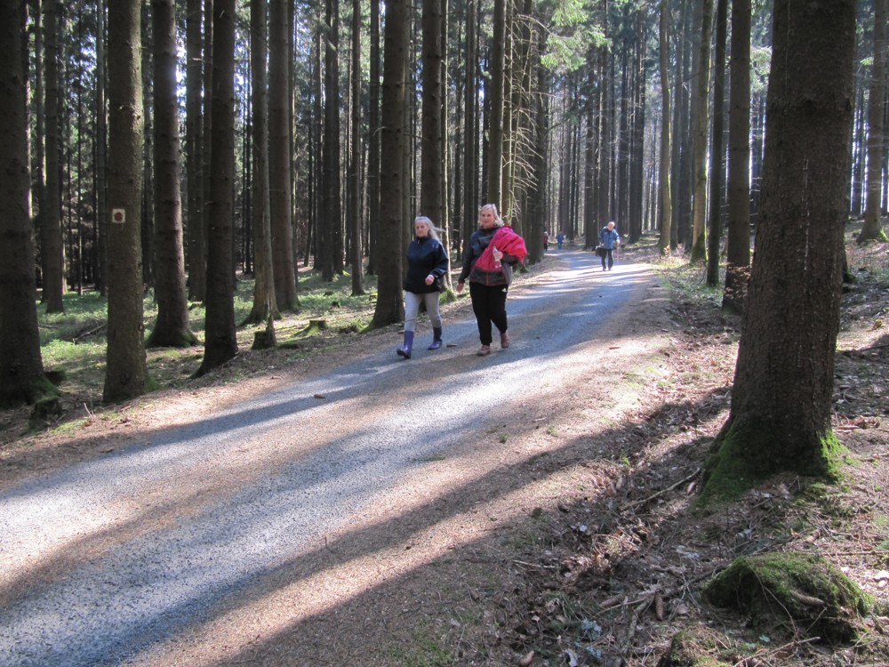 Otev Ces stud 2019 0041