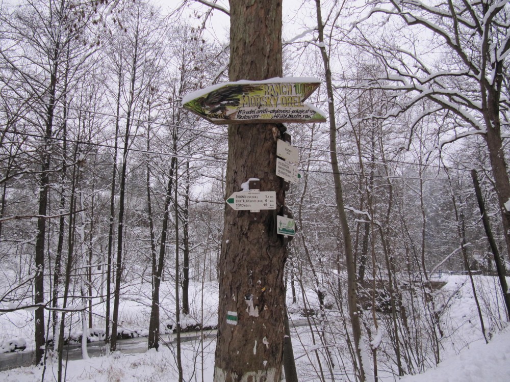 Nihov Kutiny  2010 0040