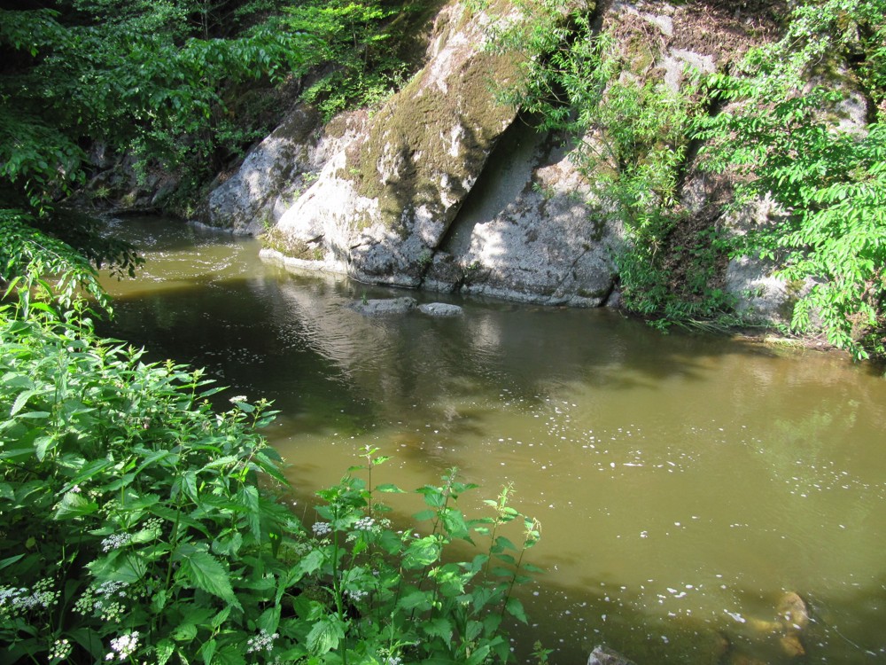 Kut placka 20200061