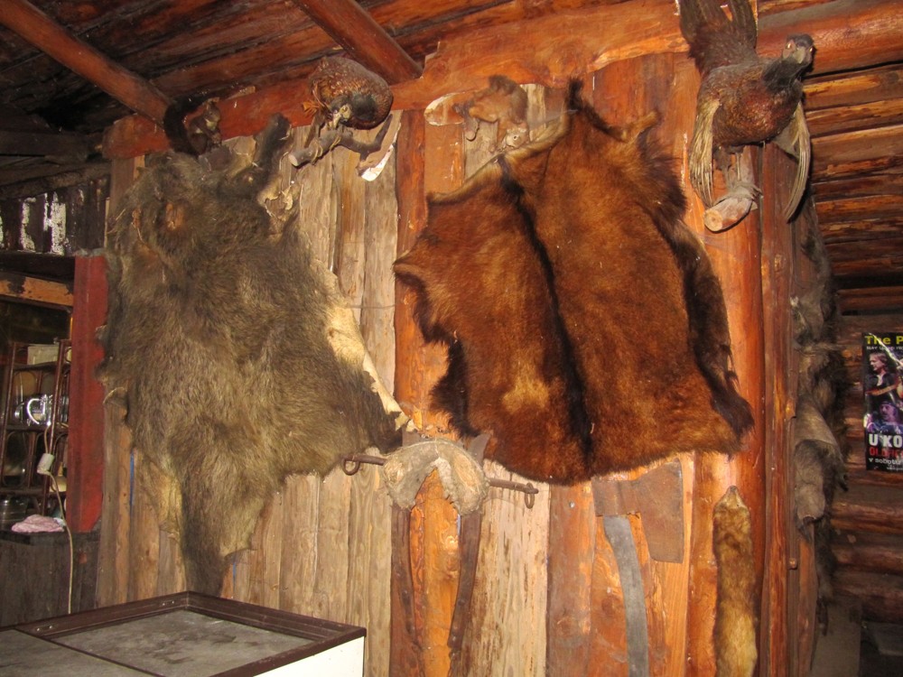 Kozafest Hausmanka 20250022