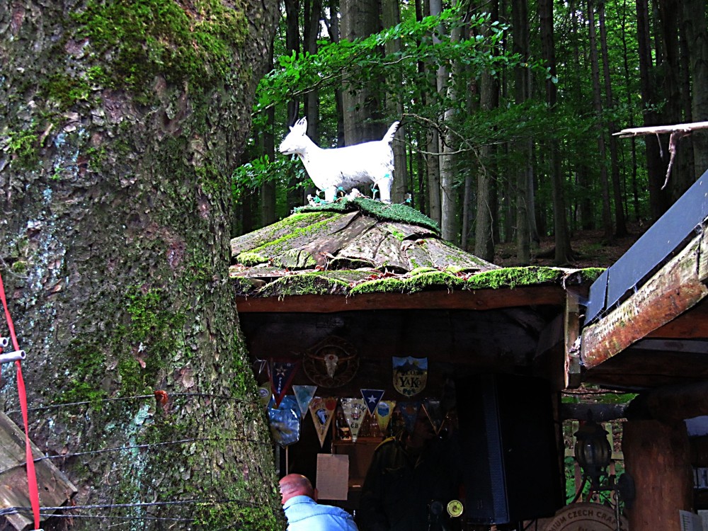 Kozafest Hausmanka 20250034