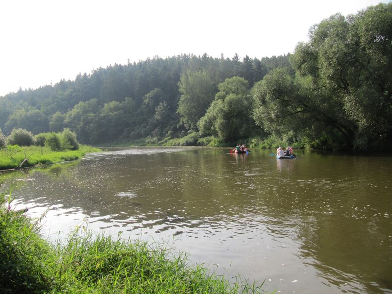 KRASOV 2016 0039