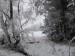 Zima okoli Sv.h. 190120 0017