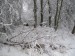 Zima okoli Sv.h. 190120 0020