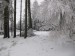 Zima okoli Sv.h. 190120 0046